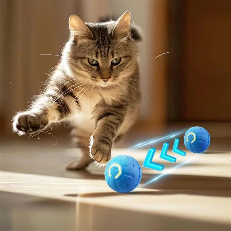 Smart Automatic Interactive Pet Ball