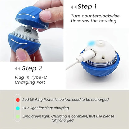 Smart Automatic Interactive Pet Ball